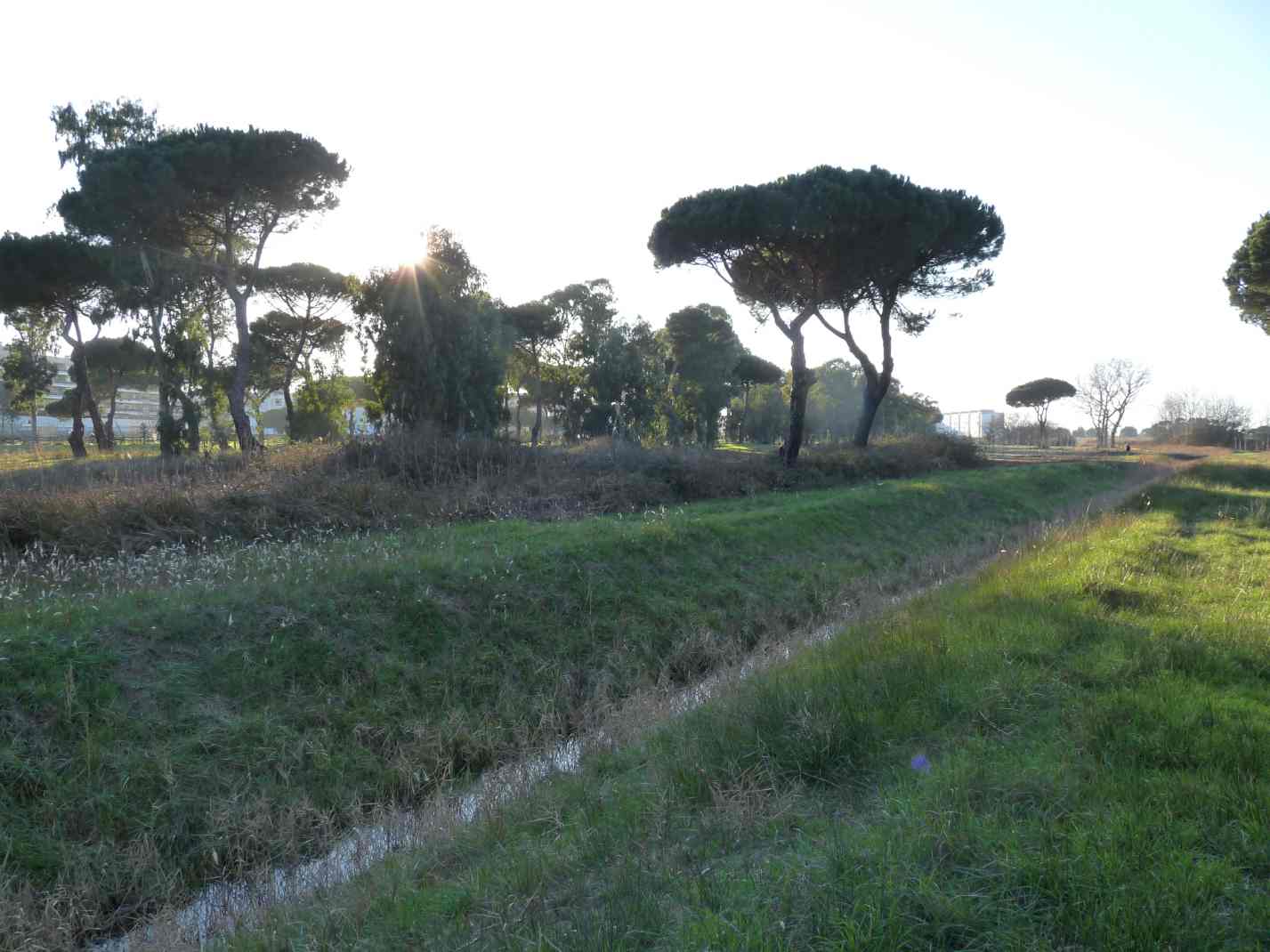 Cosa si intende per Ambiente?